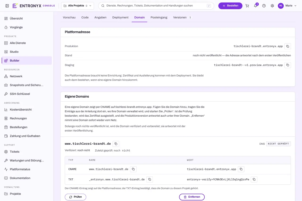 Der Reiter „Domain“: eine eigene Domain mit Status „Nicht geprüft“ und einer Anleitung als Tabelle mit CNAME- und TXT-Eintrag, daneben Kopierknöpfe und die Knöpfe „Prüfen“ und „Entfernen“.